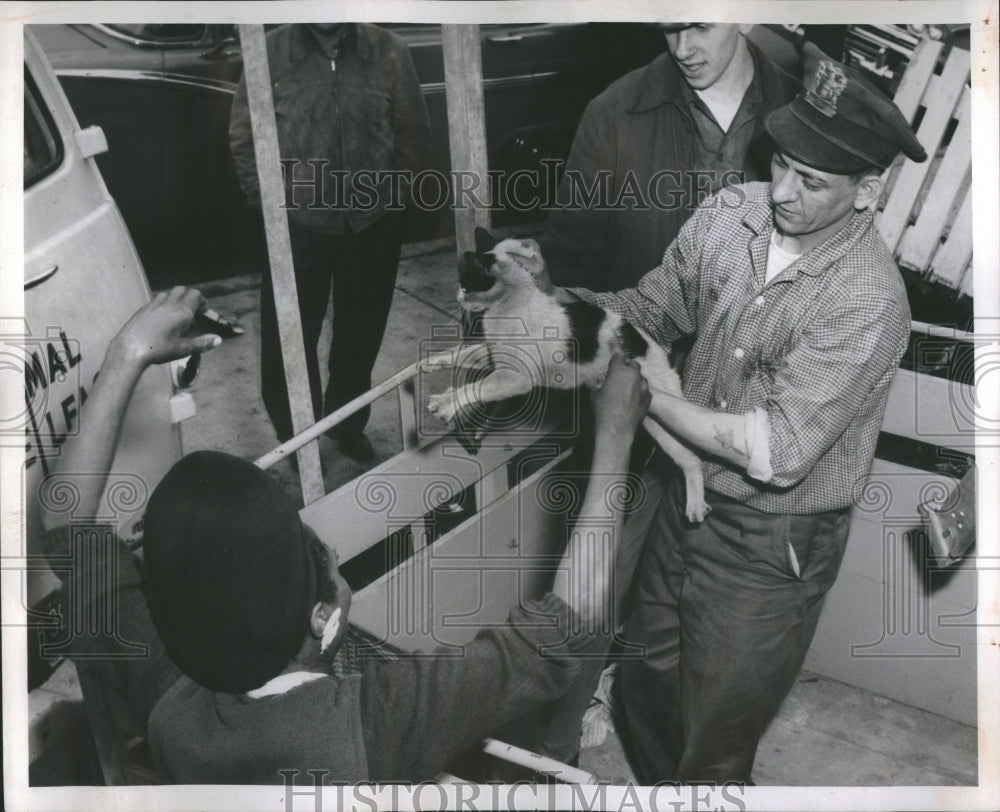 1959 Press Photo Animal Warfare League