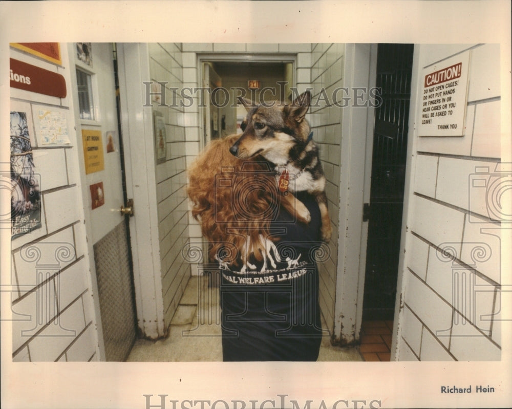 1992 Animal Welfare League Shelter In Chicago Press Photo