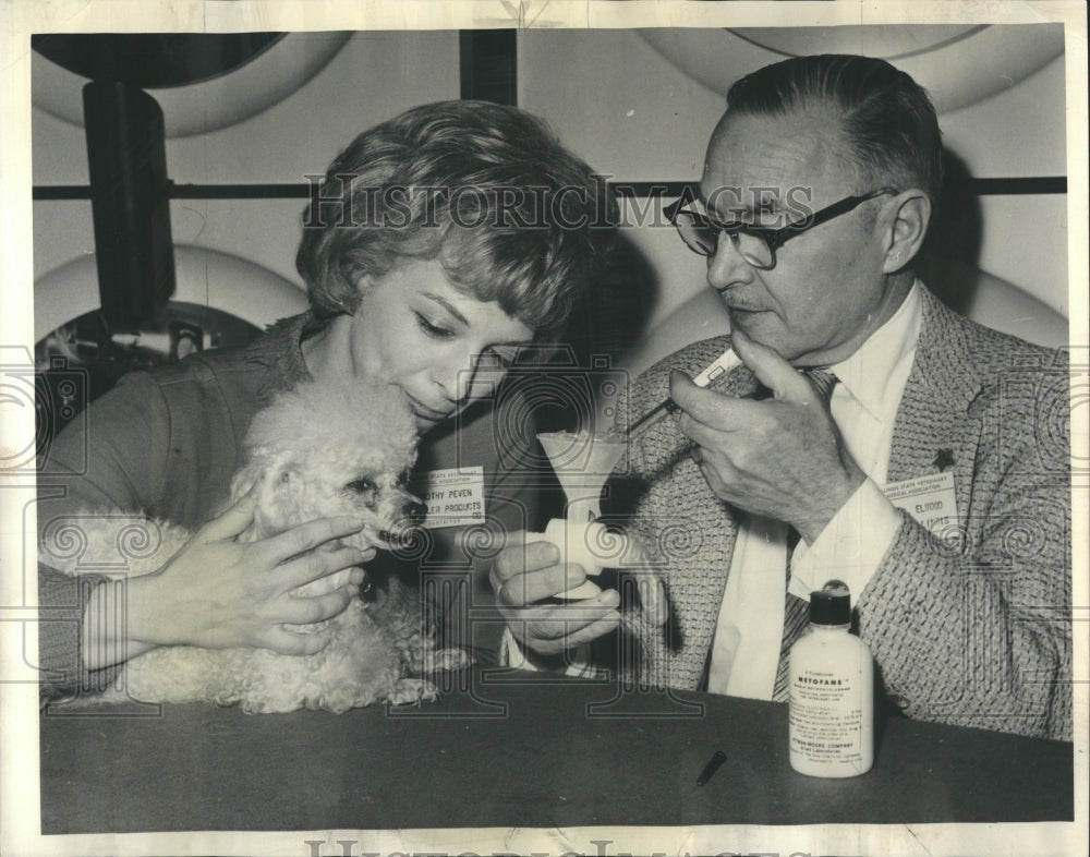 1964 Anesthetic Use On Animals First Press Photo