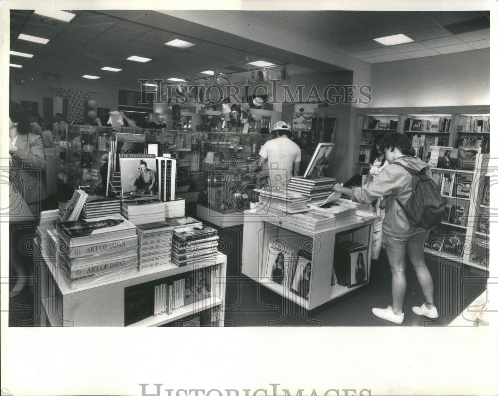 1986 Press Photo Art Institute Chicago Museum