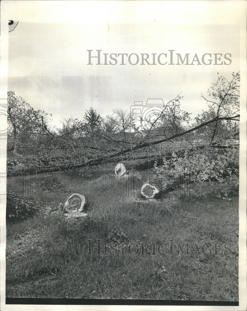 1966 Press Photo Road Widening project Cluster Forest