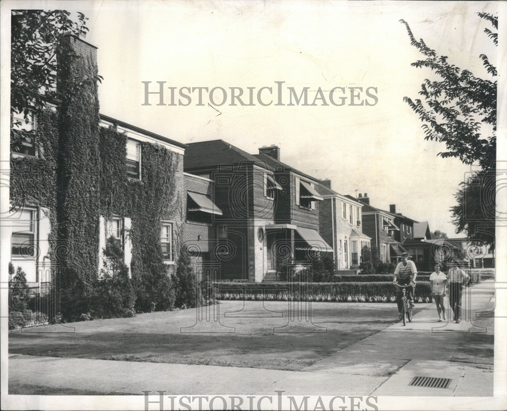 1955 Press Photo South Shore Series Homes Road Trees