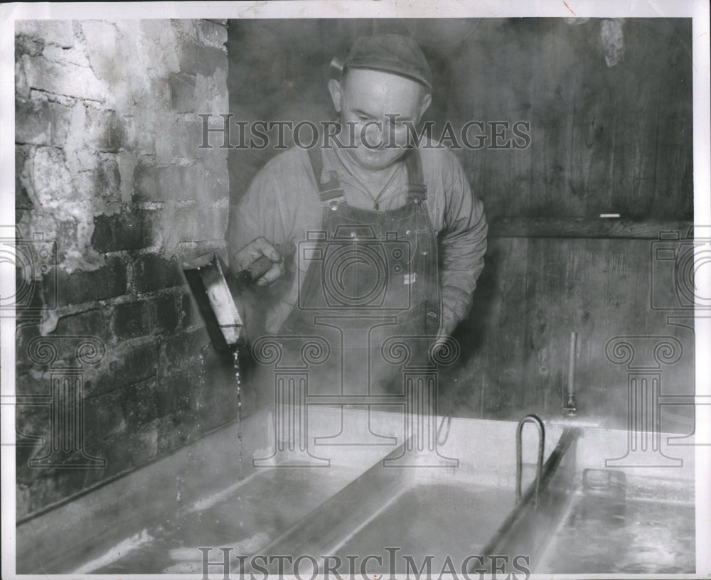 1955 Press Photo Sugar Maple, Michigan