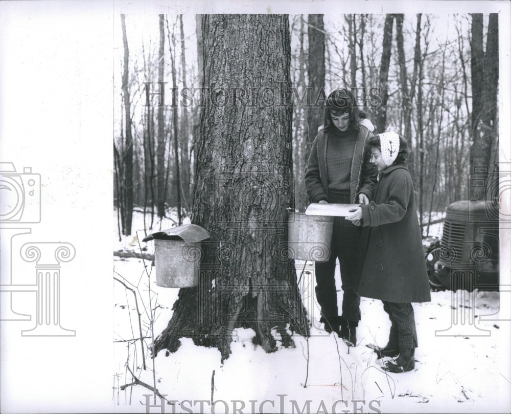 1960 Press Photo maple syrup shield Inez Donna Thomas