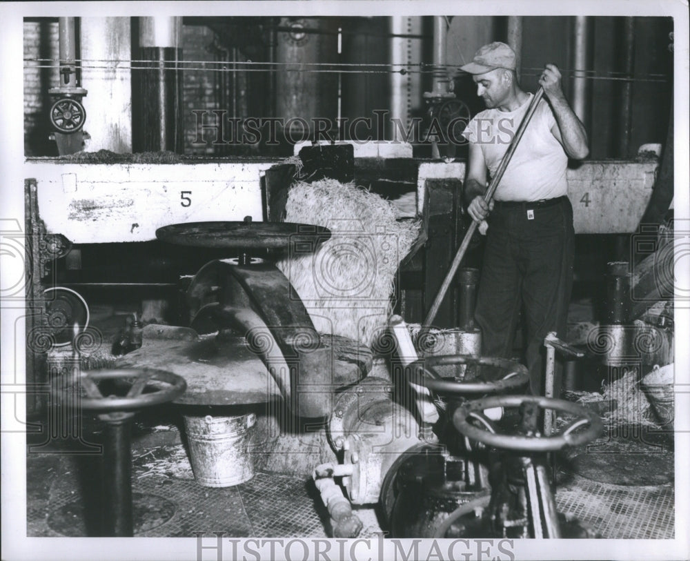 1950 Press Photo Sugar manufacturing plant.