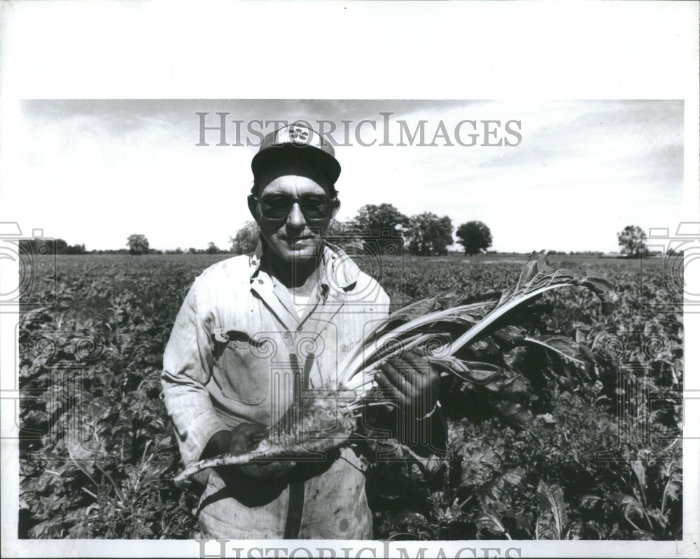 1990 Press Photo Rollin Webb harvest sugar beets.