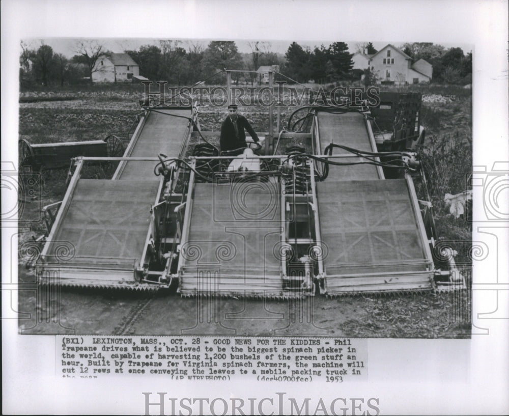 1953 Press Photo Spinach Phil Trapeane Harvesting Stuff