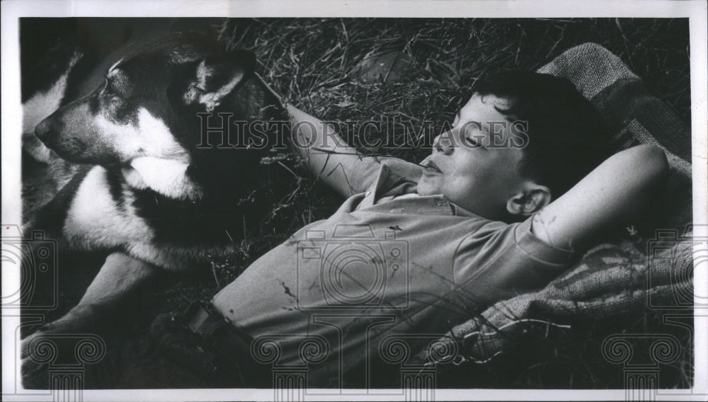 1953 Press Photo Summer temperate season