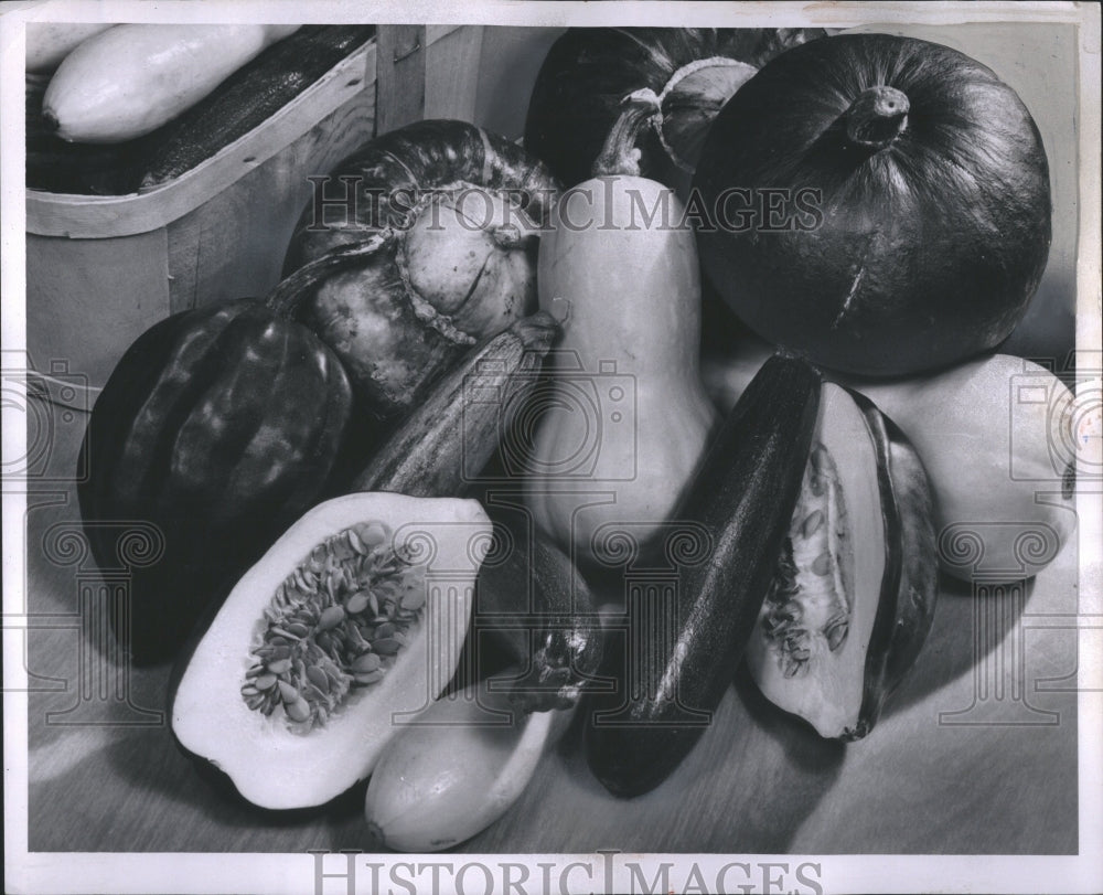 1958 Press Photo Squashes generally refer Cucurbita nat