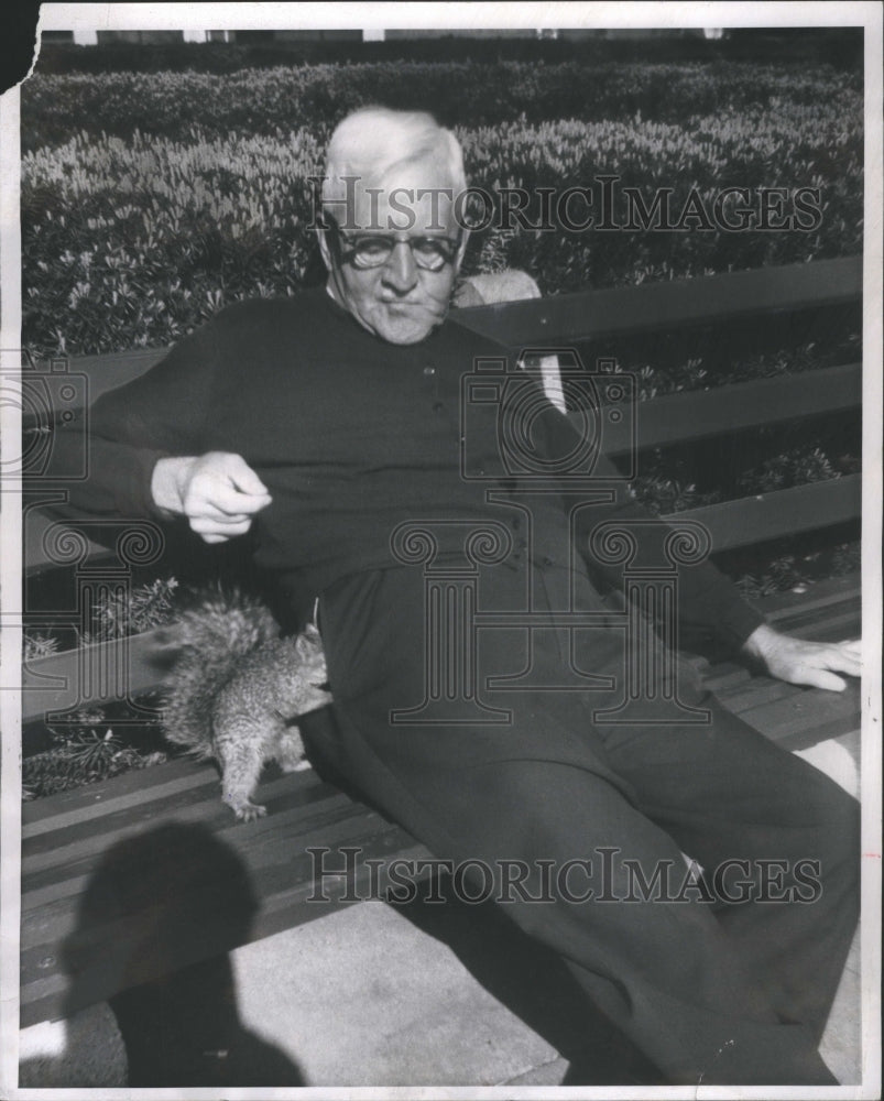 1965 Press Photo Park Squirrel Veterans Memorial Park