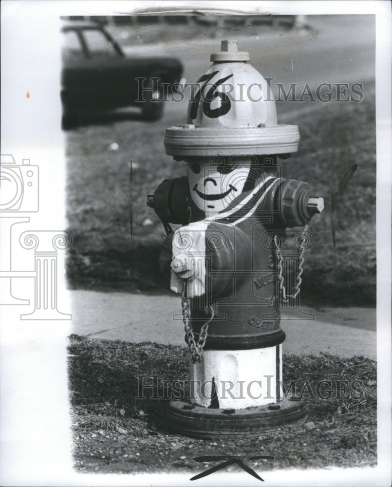 1975 Press Photo Fire Plugs