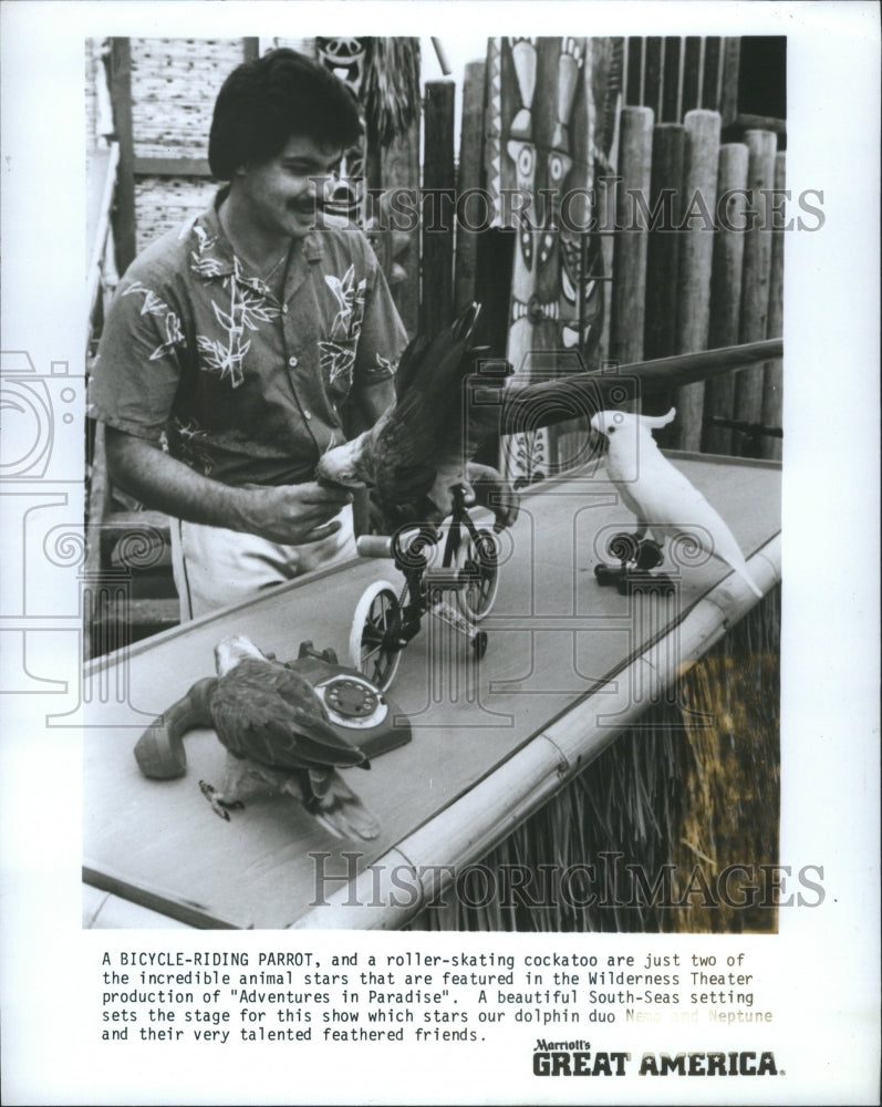 1983 Press Photo Bicyle Riding Parroy Roller Skating