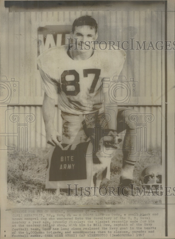 1967 Press Photo US NavalAxcademy Black Brown Mongrel