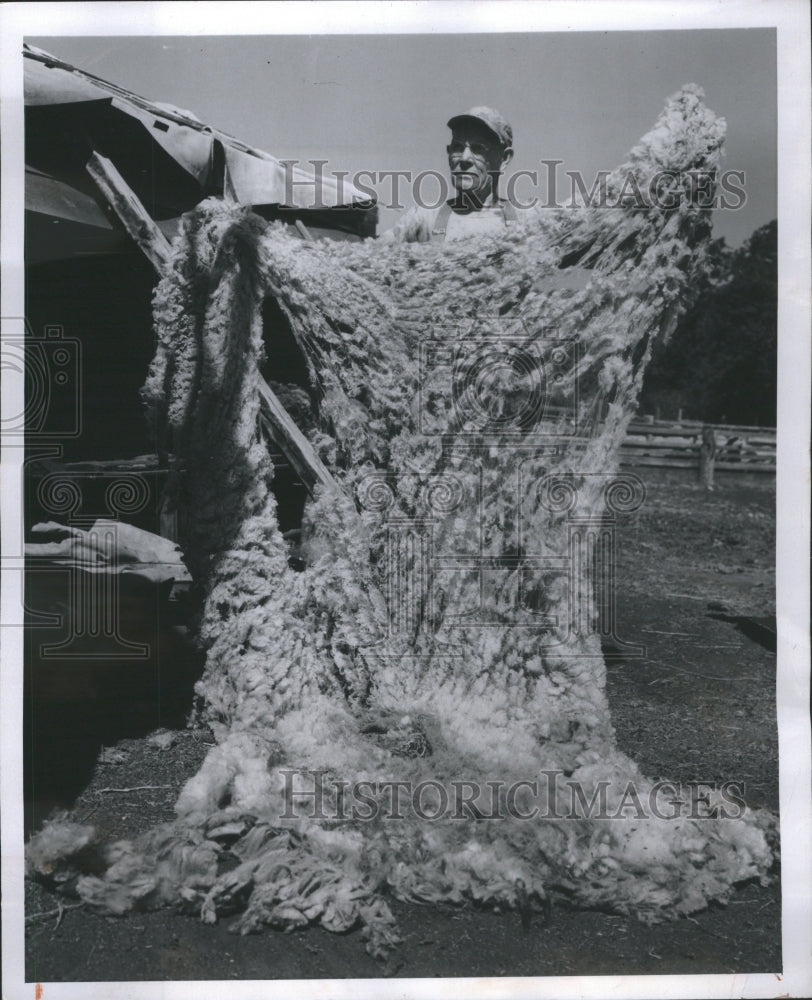 1947 Press Photo Animal Major Group Multicellular