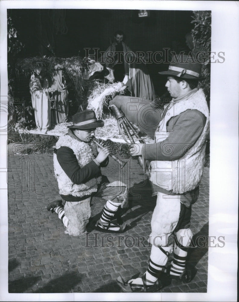 1955 Press Photo Shepherd Person Feed Guard Flock Sheep