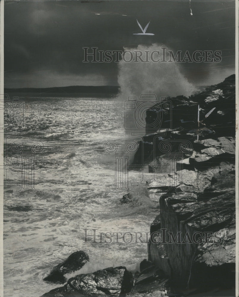 1949 Press Photo Oceans Nature