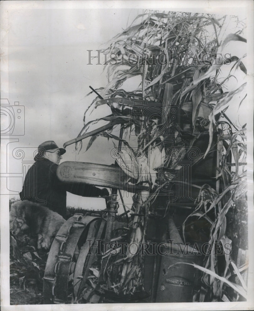 1948 Press Photo Food Agricultural Org Hybrid Corn