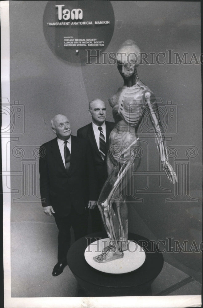 1978 Press Photo Anatomical