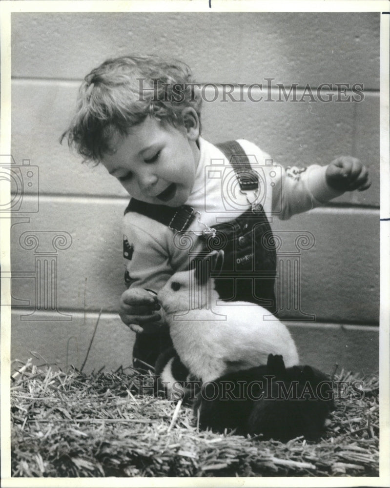 1986 Press Photo Michael Shake, Animal Welfare League.