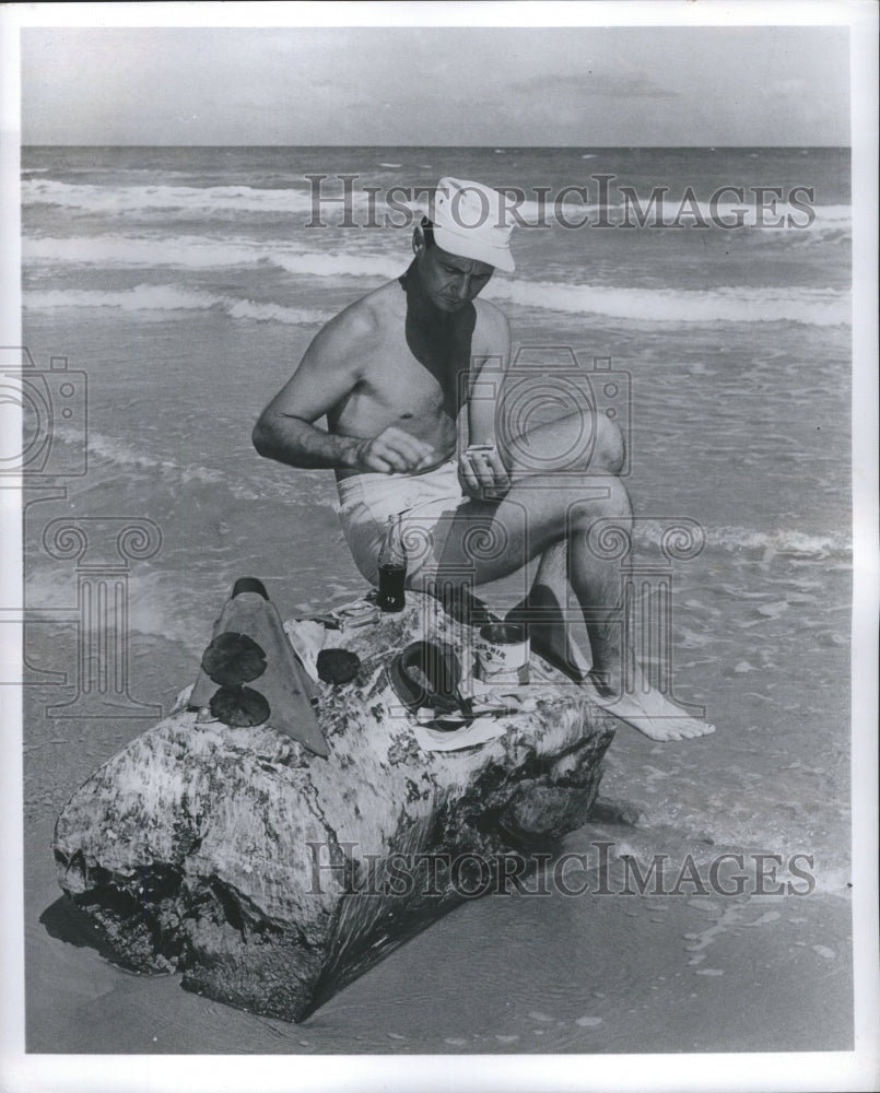 1956 Press Photo Sea Shells