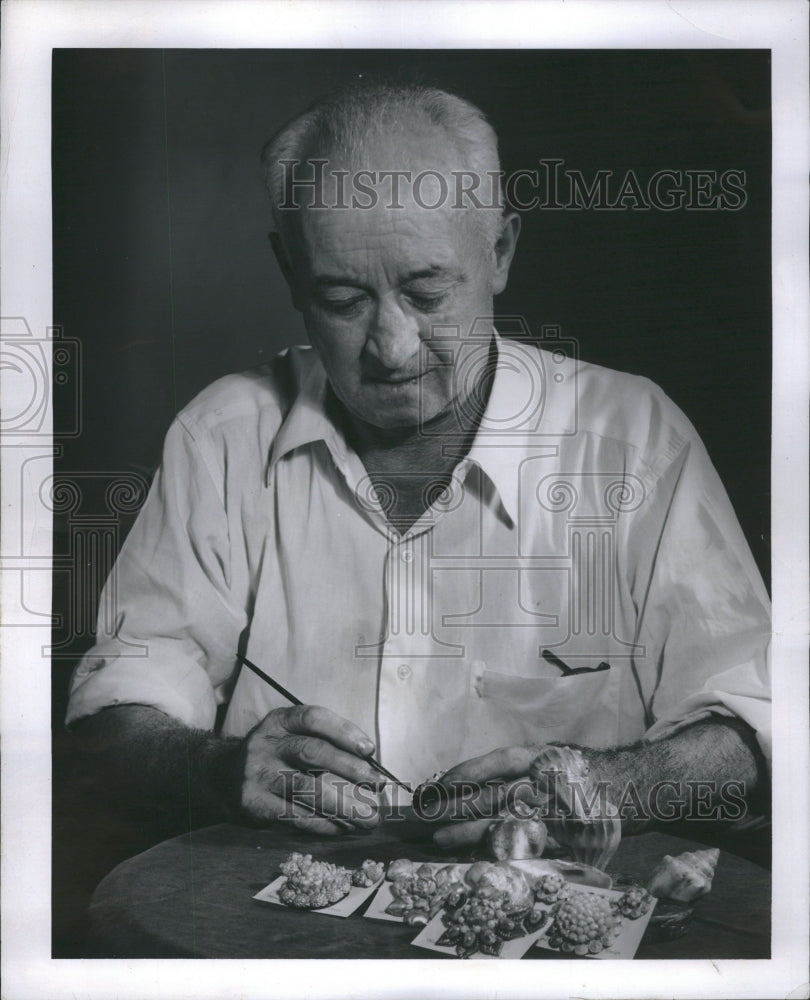 1946 Press Photo Sea Wells James Jisk Pins Brooches