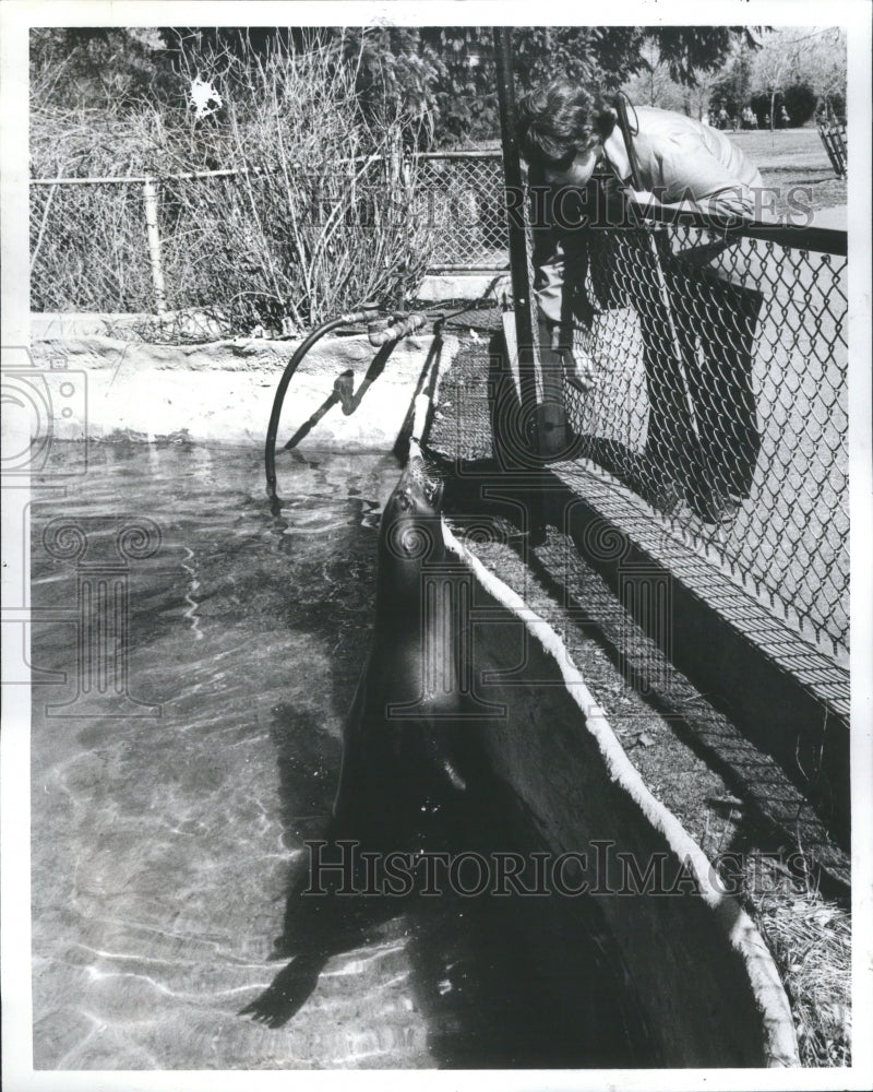 1981 Press Photo Arlena Stein Detroit Zoo