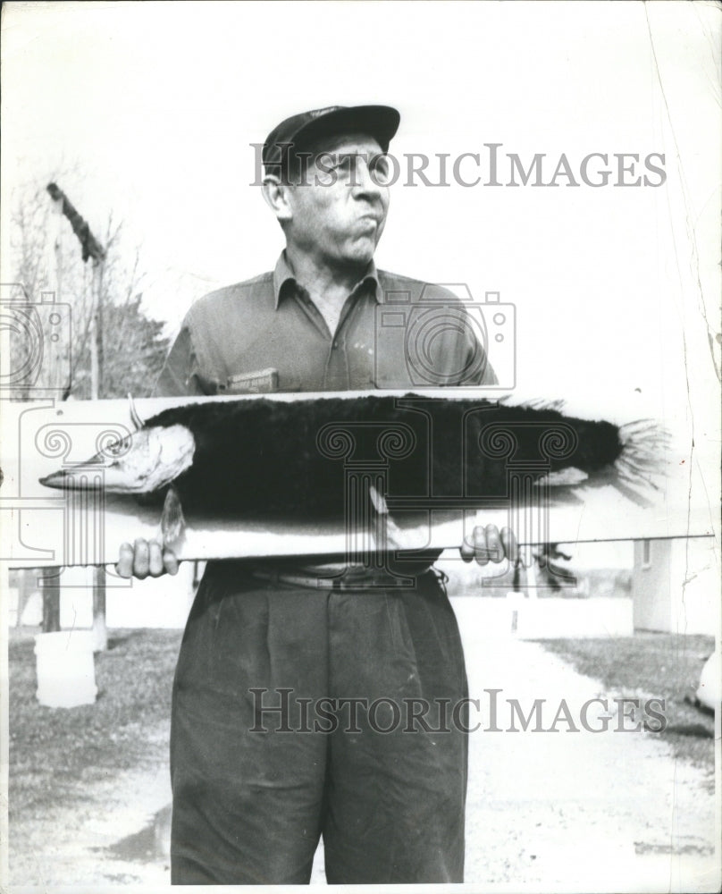 1961 Press Photo Kent Hamilton and Fish