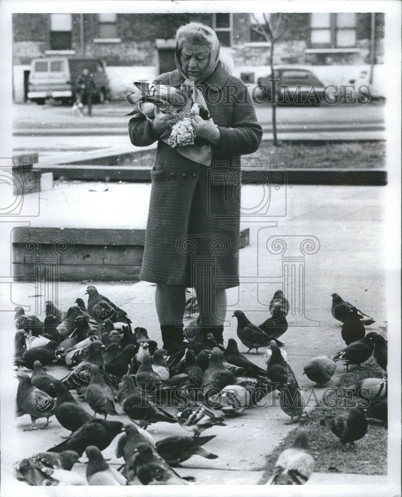 1973 Press Photo Dorothy Seall Park Feeding Pigeons Nut