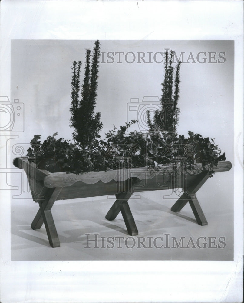 1967 Press Photo Planters