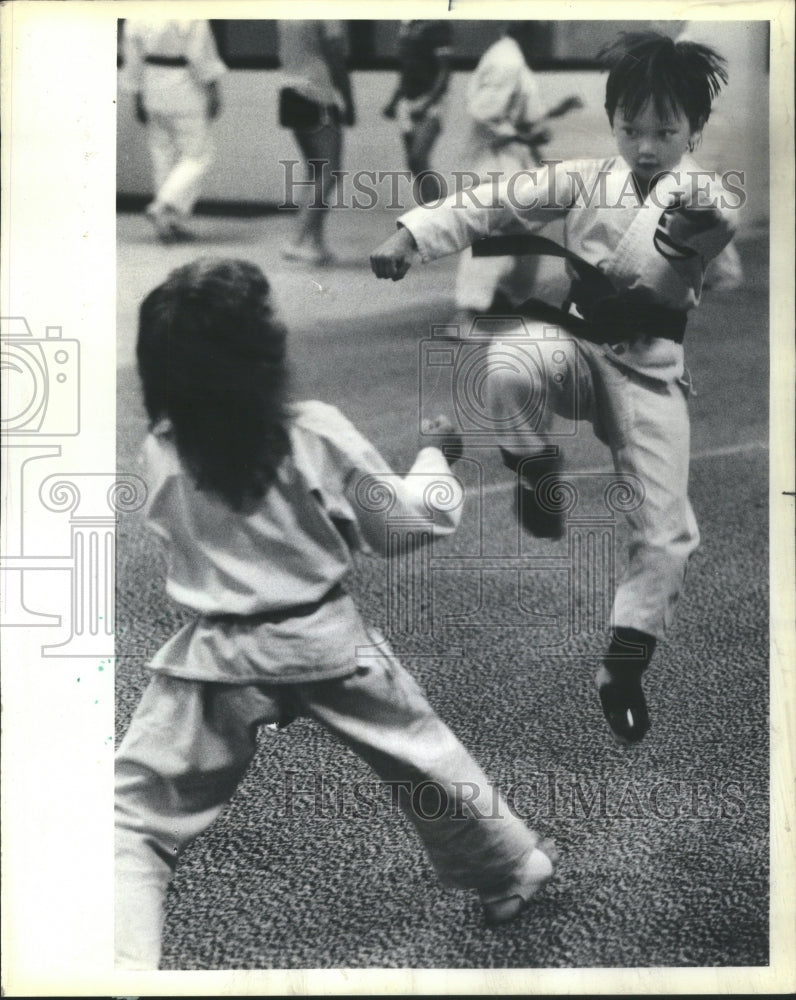1984 Press Photo Glenview Karate Club Mitchell Show Kic