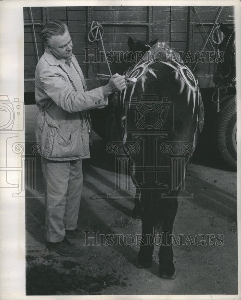 1957 Press Photo Mr West Makeu Man Prepare Horse Paint