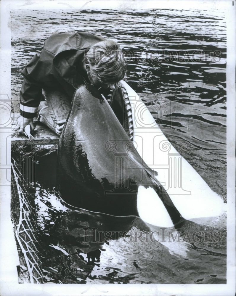 1969 Press Photo Delphine Water Mouth Man Fish Hand