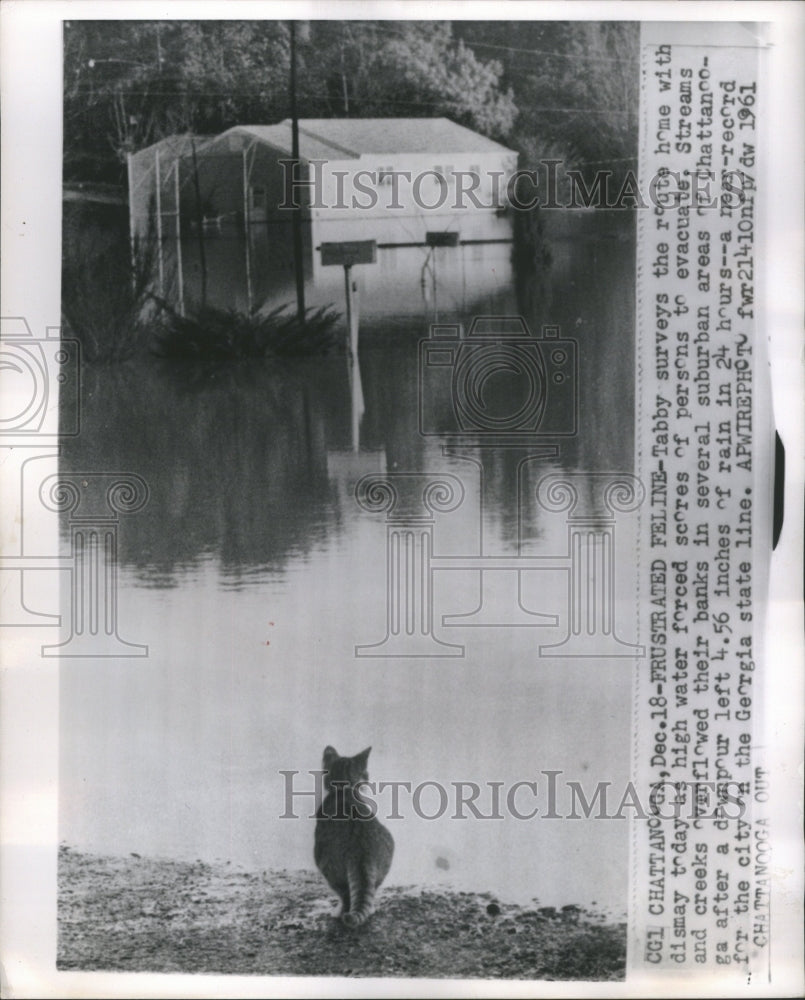 1961 Press Photo Persons Evacuate Tabby Water Force