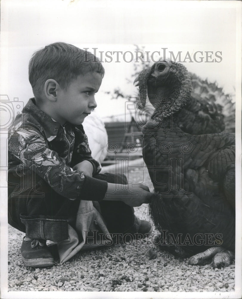1984 Press Photo Hawthorn Mellody Farm Thanksgiving Day