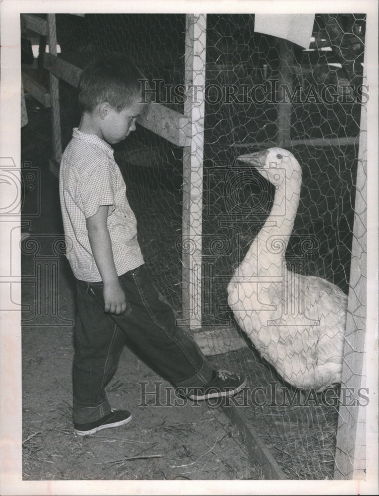 1968 Press Photo Sarasota Fair Kevin Howard and Sam