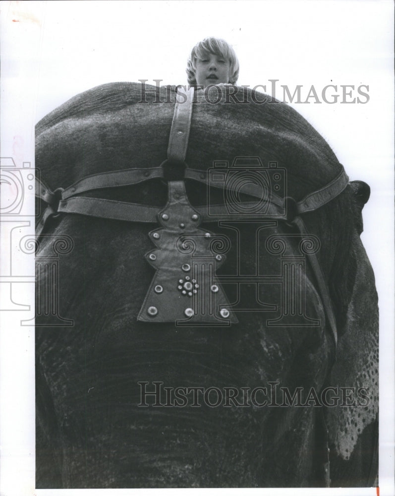 1974 Press Photo Tony Vreuls, 4, Rides Elephant at Fair