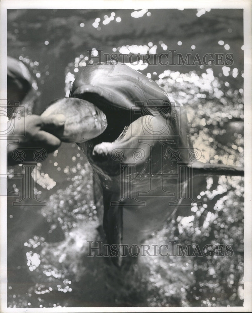 1965 Press Photo Florida Pavilion