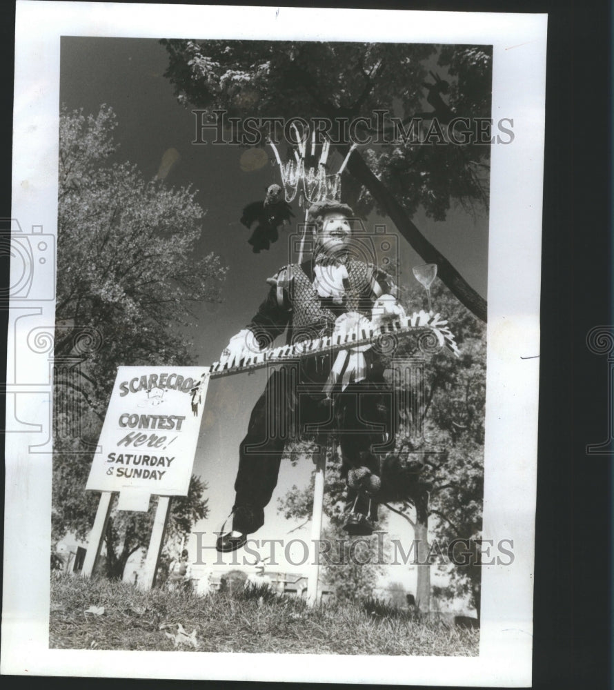 1986 Press Photo A scarecrow Sparrows Traditionally