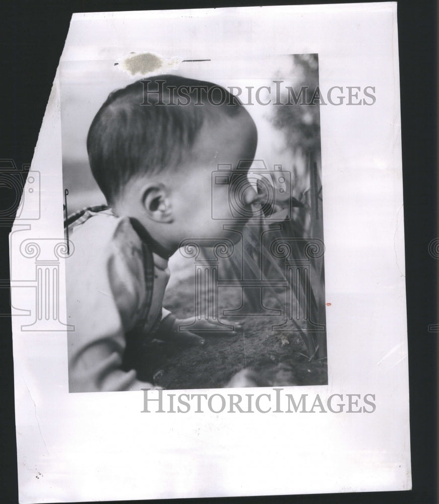 1958 Press Photo Baby Smells A Spring Flower In Garden