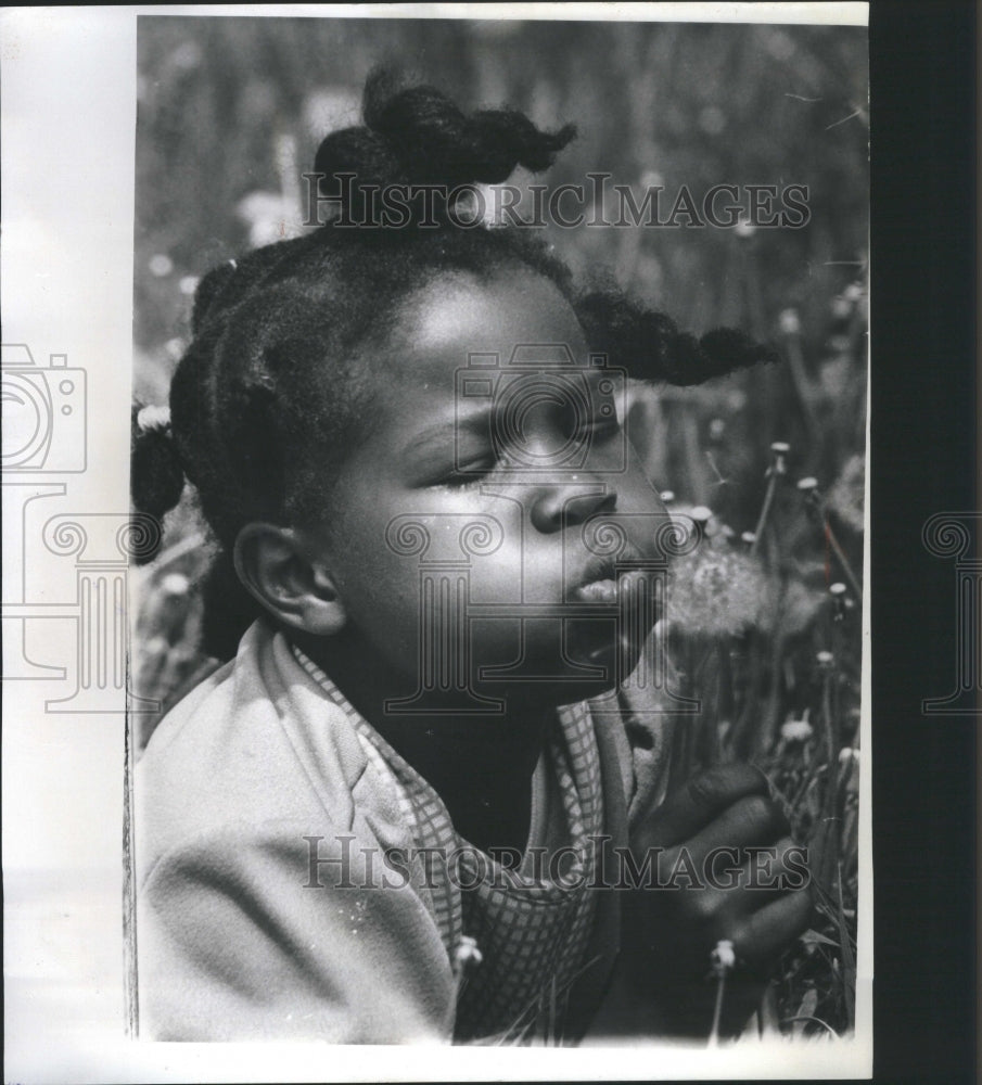 1975 Press Photo Terry Shoulders From Brewster Projects