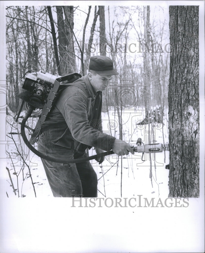 1960 Press Photo Roy Thomas Machine Bores Sap Spout