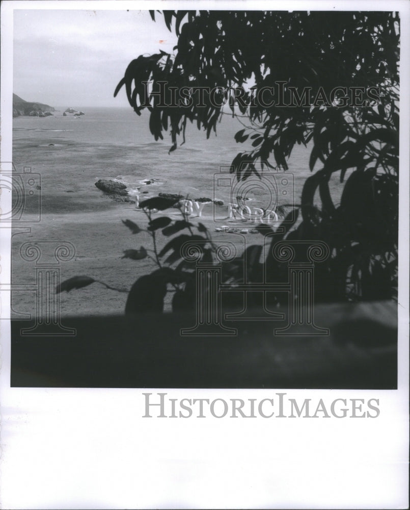 1966 Press Photo TV Commercial Weather Ford Beach Trees