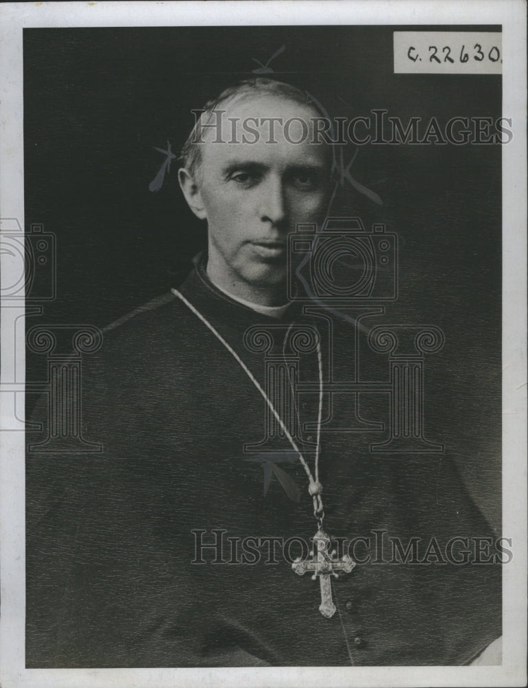 1919 Press Photo Desire Joseph Mercier Cardinal Roman