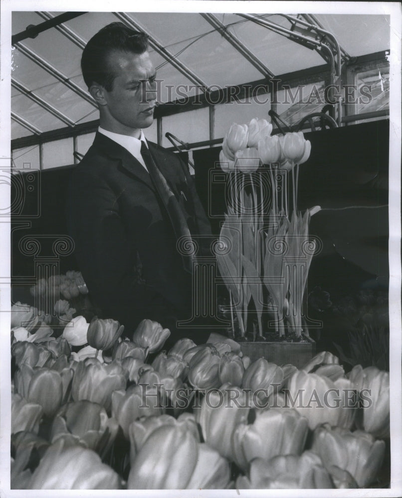 1966 Press Photo Jan van Den Heck Netherlands Sulphur