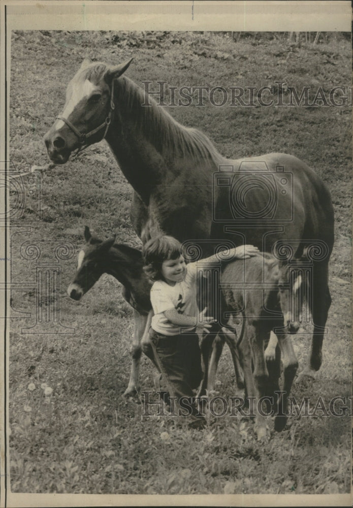 1975 Press Photo Horse With Twin Foals