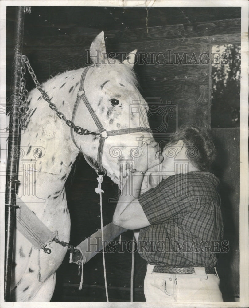 1956 Press Photo Horses