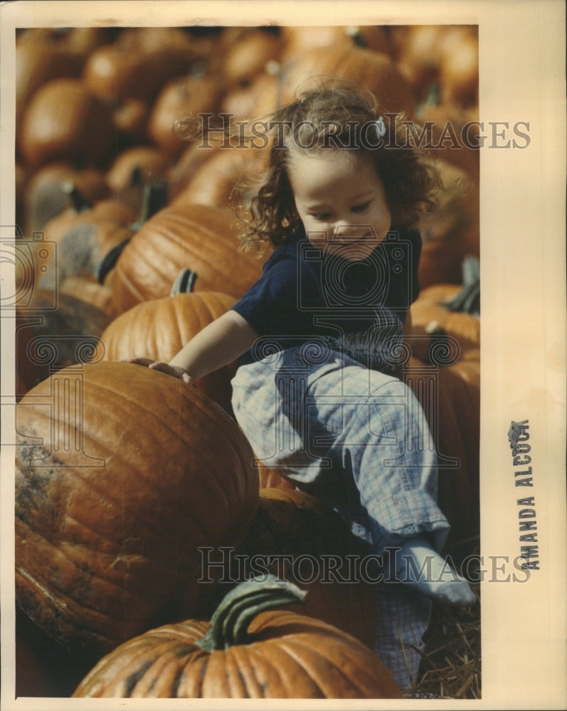 1991 Pumpkins Press Photo