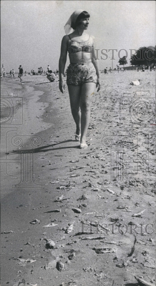 1967 Press Photo Reporter P Dalton Beach Dead Alwives