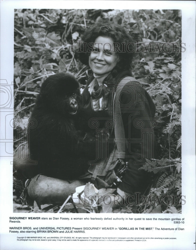 1988 Sigourney Weaver Dina Fosse Women - Historic Images