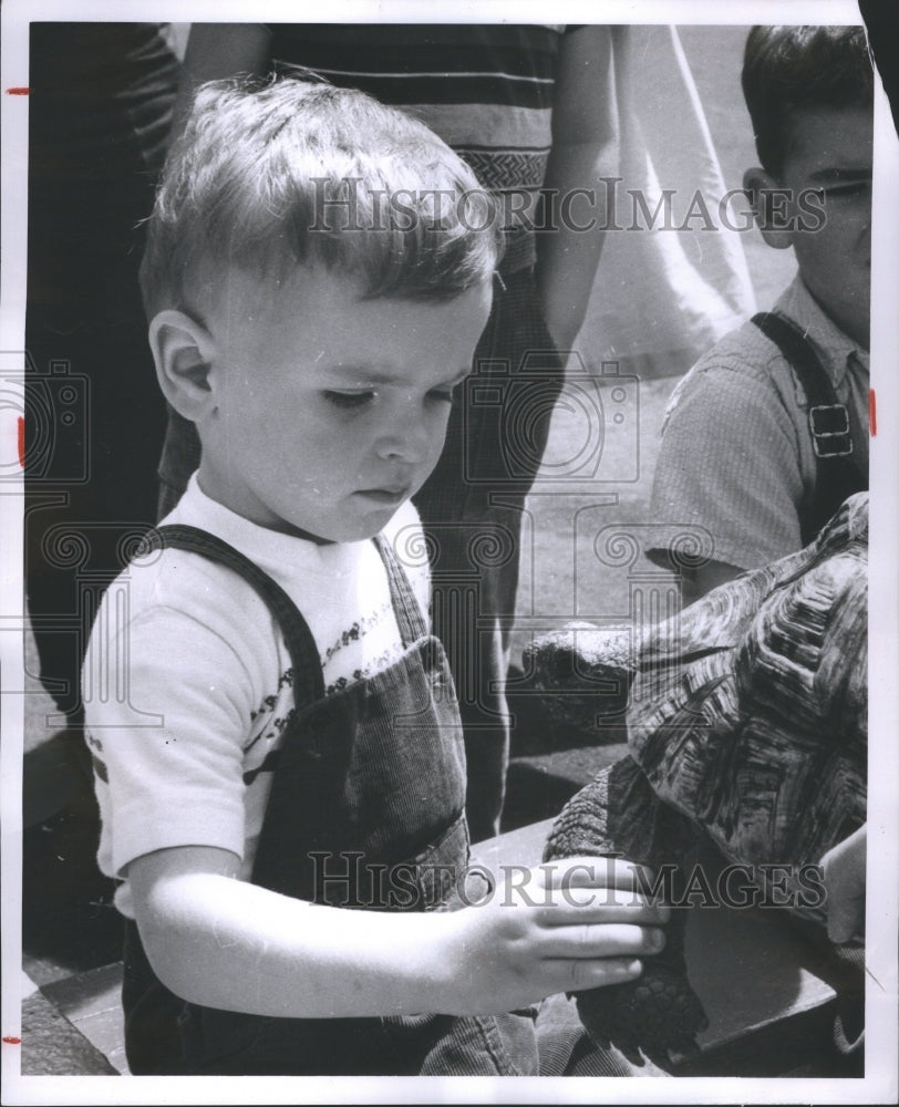 1954 Children Zoo Michigan Belle Isla - Historic Images